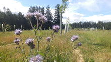 Load image into Gallery viewer, Tree Support and Pollinator Seed Mix