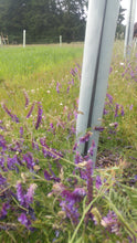Load image into Gallery viewer, Tree Support and Pollinator Seed Mix