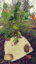 Load image into Gallery viewer, 18" Hemp Mulch Mat