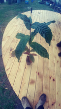Load image into Gallery viewer, Chestnut: ExJ Seedling - Potted