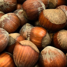 Load image into Gallery viewer, Dried hazelnuts ready to shell and eat
