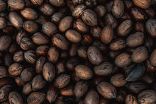 Load image into Gallery viewer, Many pecans in their shells
